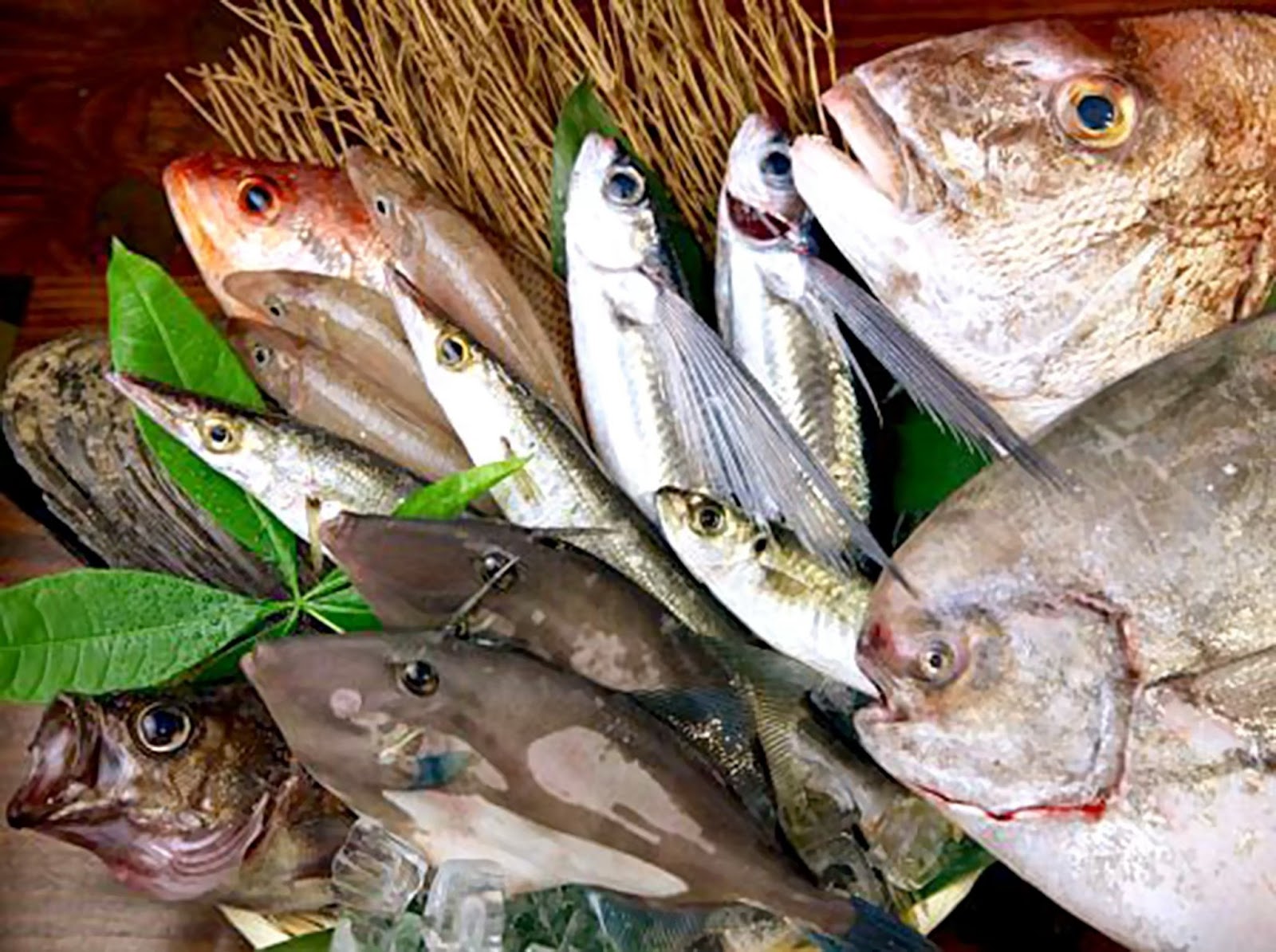 和食 旬の和朗（獅子奮迅別館）のお料理 2